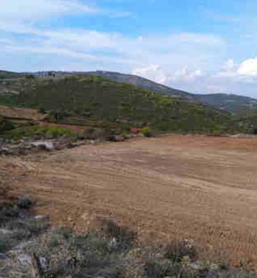 Χωράφι για φωτοβολταϊκό πάρκο 8 στρέμματα στη Φθιώτιδα