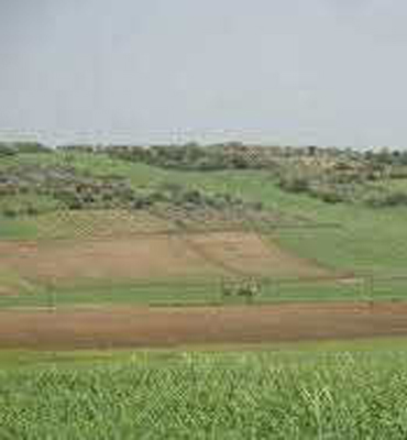 Χωράφι για φωτοβολταϊκό πάρκο 6,5 στρέμματα στη Χαλκιδική