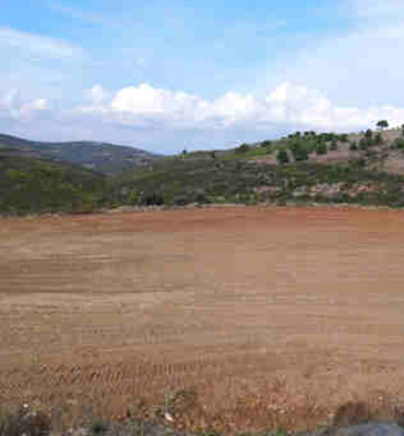 Χωράφι για φωτοβολταϊκό πάρκο 8 στρέμματα στην Εύβεια
